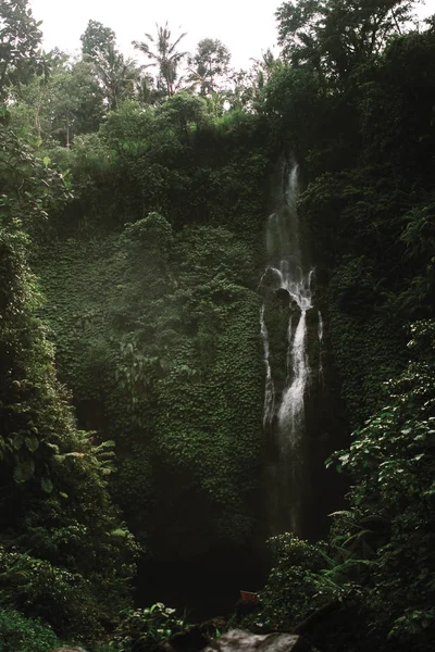 waterfall in jungle in Bali