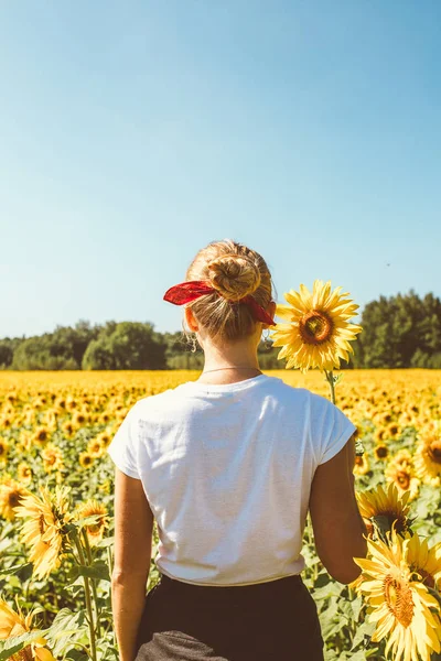 Belle fille hippie élégant sur le champ de tournesol — Photo