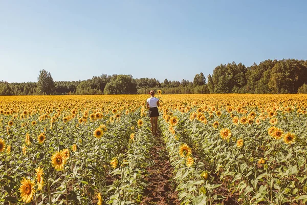 Feliz Jovem Mulher Desfrutando Verão Campo Girassol Andando Entre Plantas Fotos De Bancos De Imagens