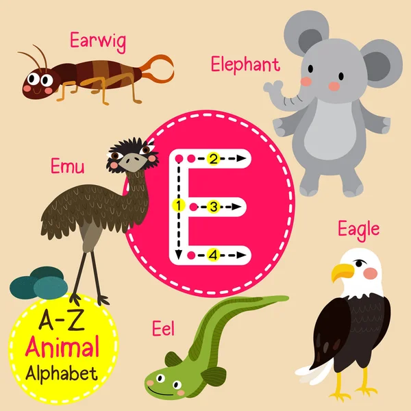 Lindos niños zoológico alfabeto E carta trazado de dibujos animados animales divertidos para niños que aprenden inglés vocabulario vector ilustración . — Vector de stock