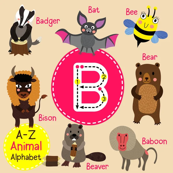 Lindos niños zoológico alfabeto B carta trazado de dibujos animados animales divertidos para niños que aprenden inglés vocabulario vector ilustración . — Vector de stock