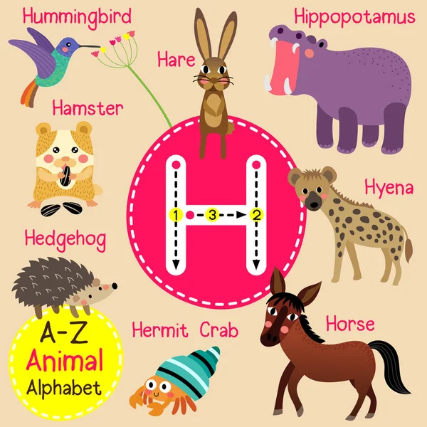 Lindos niños zoológico alfabeto H letra trazado de dibujos animados de animales divertidos para niños que aprenden inglés vocabulario vector ilustración . — Vector de stock