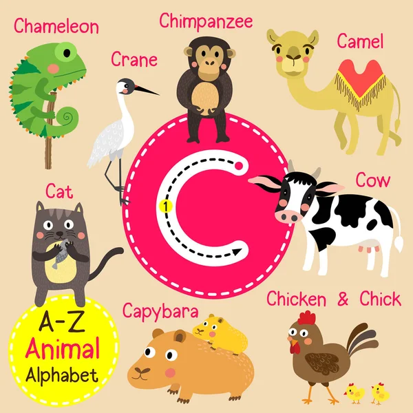 Alphabet de zoo pour enfants mignon C lettre traçage de dessin animé drôle d'animal pour les enfants apprenant l'illustration vectorielle de vocabulaire anglais . — Image vectorielle