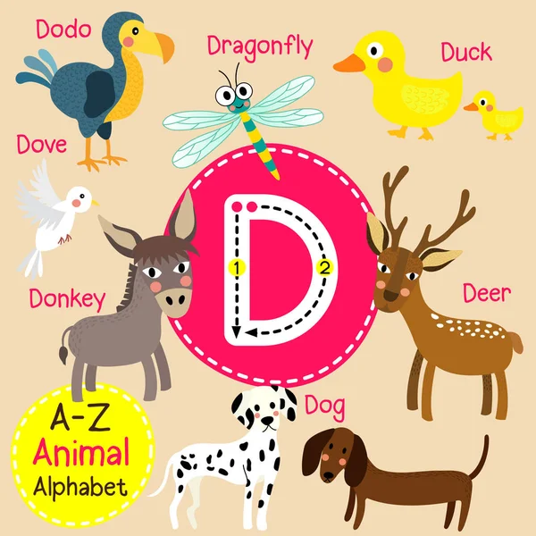 Lindos niños zoológico alfabeto D carta trazado de dibujos animados de animales divertidos para niños que aprenden inglés vocabulario vector ilustración . — Vector de stock