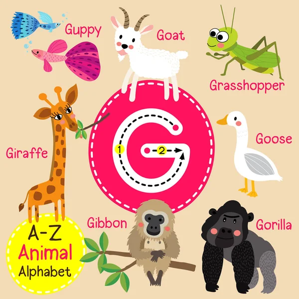Lindos niños zoológico alfabeto G carta trazado de dibujos animados de animales divertidos para niños que aprenden inglés vocabulario vector ilustración . — Vector de stock