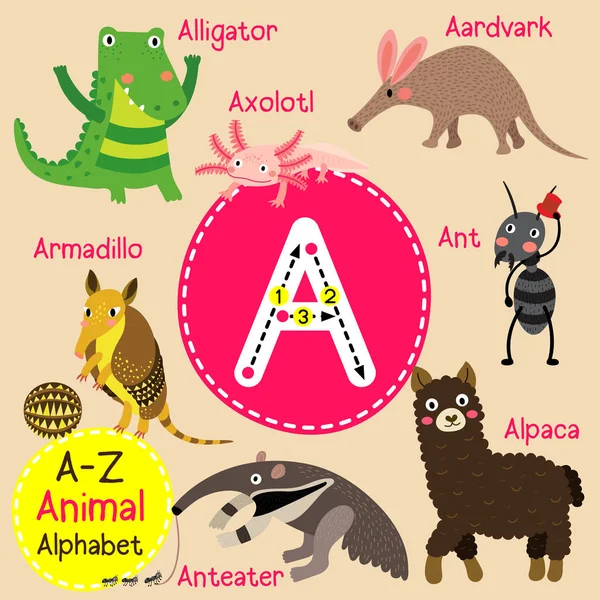 Aranyos gyerekek állatkert ábécé A levél nyomkövetés vicces állat rajzfilm, gyerekek, tanulás angol szókincs vektoros illusztráció. — Stock Vector