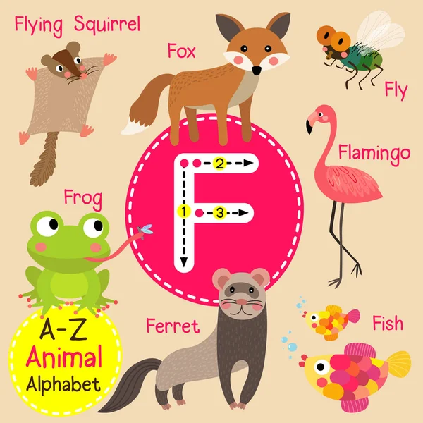 귀여운 어린이 동물원 알파벳 F 문자 추적 벡터 일러스트 영어 어휘를 학습 하는 아이 들을 위한 재미 있은 동물 만화. — 스톡 벡터