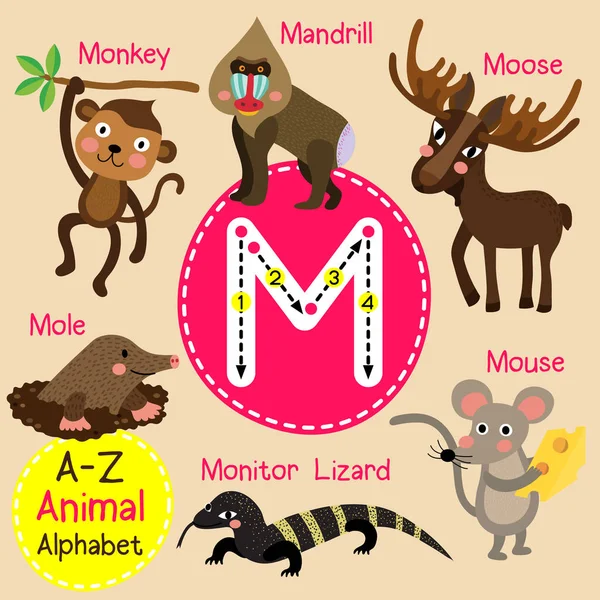 Cute children zoo alphabet M letter tracing of funny animal cartoon for kids learning English vocabulary vector illustration. — Stock Vector