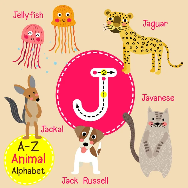 Lindos niños zoológico alfabeto J carta trazado de dibujos animados de animales divertidos para niños que aprenden inglés vocabulario vector ilustración . — Vector de stock