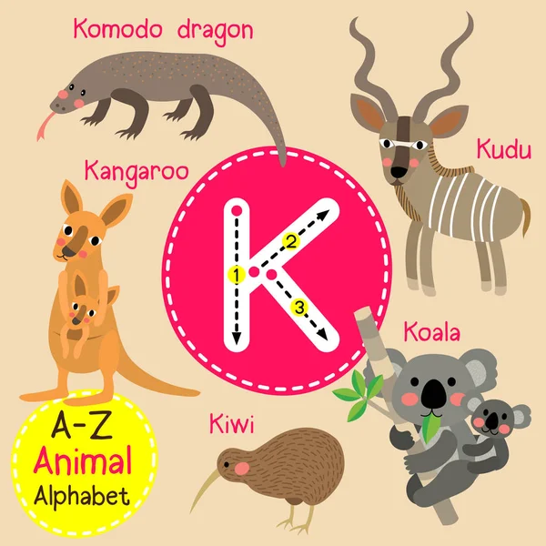 Lindos niños zoológico alfabeto K letra trazado de dibujos animados animales divertidos para niños que aprenden inglés vocabulario vector ilustración . — Vector de stock