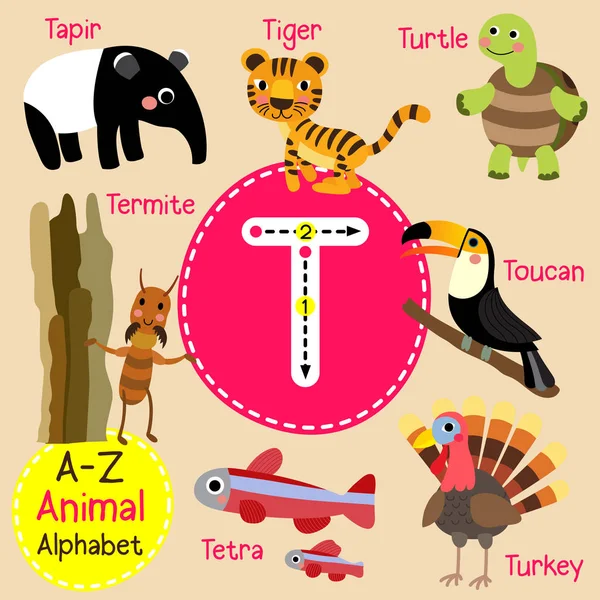 Lindos niños zoológico alfabeto T carta trazado de dibujos animados de animales divertidos para niños que aprenden inglés vocabulario vector ilustración . — Archivo Imágenes Vectoriales