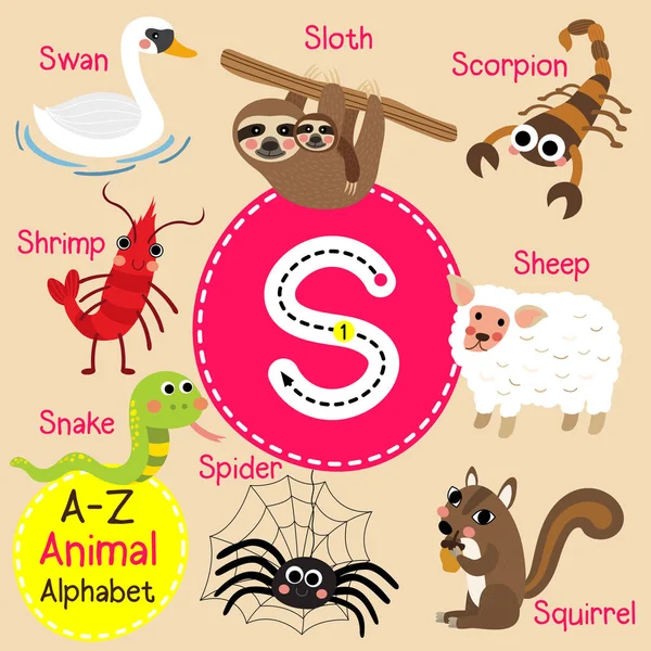 Lindos niños zoológico alfabeto S letra trazado de dibujos animados de animales divertidos para niños que aprenden inglés vocabulario vector ilustración . — Vector de stock