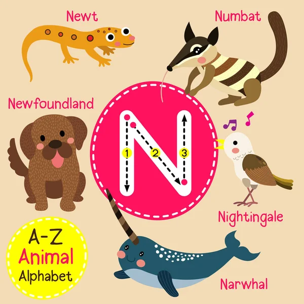 Alphabet de zoo pour enfants mignon N lettre traçage de dessin animé drôle pour enfants apprenant l'illustration vectorielle de vocabulaire anglais . — Image vectorielle