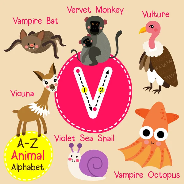 Lindos niños zoológico alfabeto V carta trazado de dibujos animados de animales divertidos para niños que aprenden inglés vocabulario vector ilustración . — Vector de stock