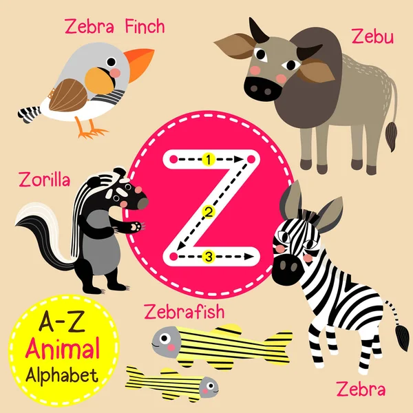 Lindos niños zoológico alfabeto Z carta trazado de dibujos animados de animales divertidos para niños que aprenden inglés vocabulario vector ilustración . — Vector de stock