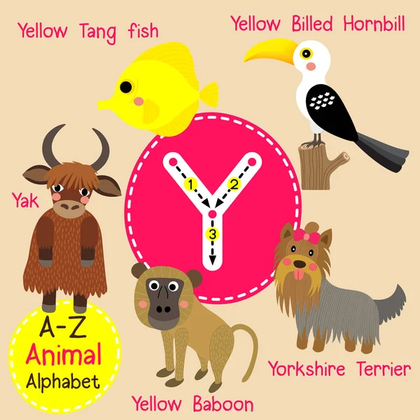 Roztomilé děti zoo abeceda Y dopis trasování legrační zvířecí karikatury pro děti učit anglicky slovník vektorové ilustrace. — Stockový vektor