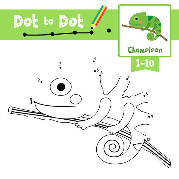 Dot to dot educational game and Coloring book of Chameleon on branch animals cartoon character for preschool kids activity about learning counting number 1-10 and handwriting practice worksheet. Vector Illustration.