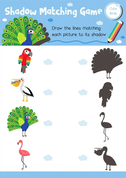 Shadow Matching Game Cute Bird Animals Preschool Kids Activity Worksheet — Stock Vector