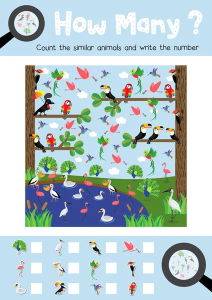 以A4彩色可打印版本计算幼儿活动作业表布局中可爱鸟类动物的游戏 病媒图解 — 图库矢量图片