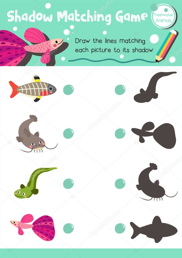 Shadow matching game of freshwater animals for preschool kids activity worksheet layout in A4 colorful printable version. Vector Illustration.