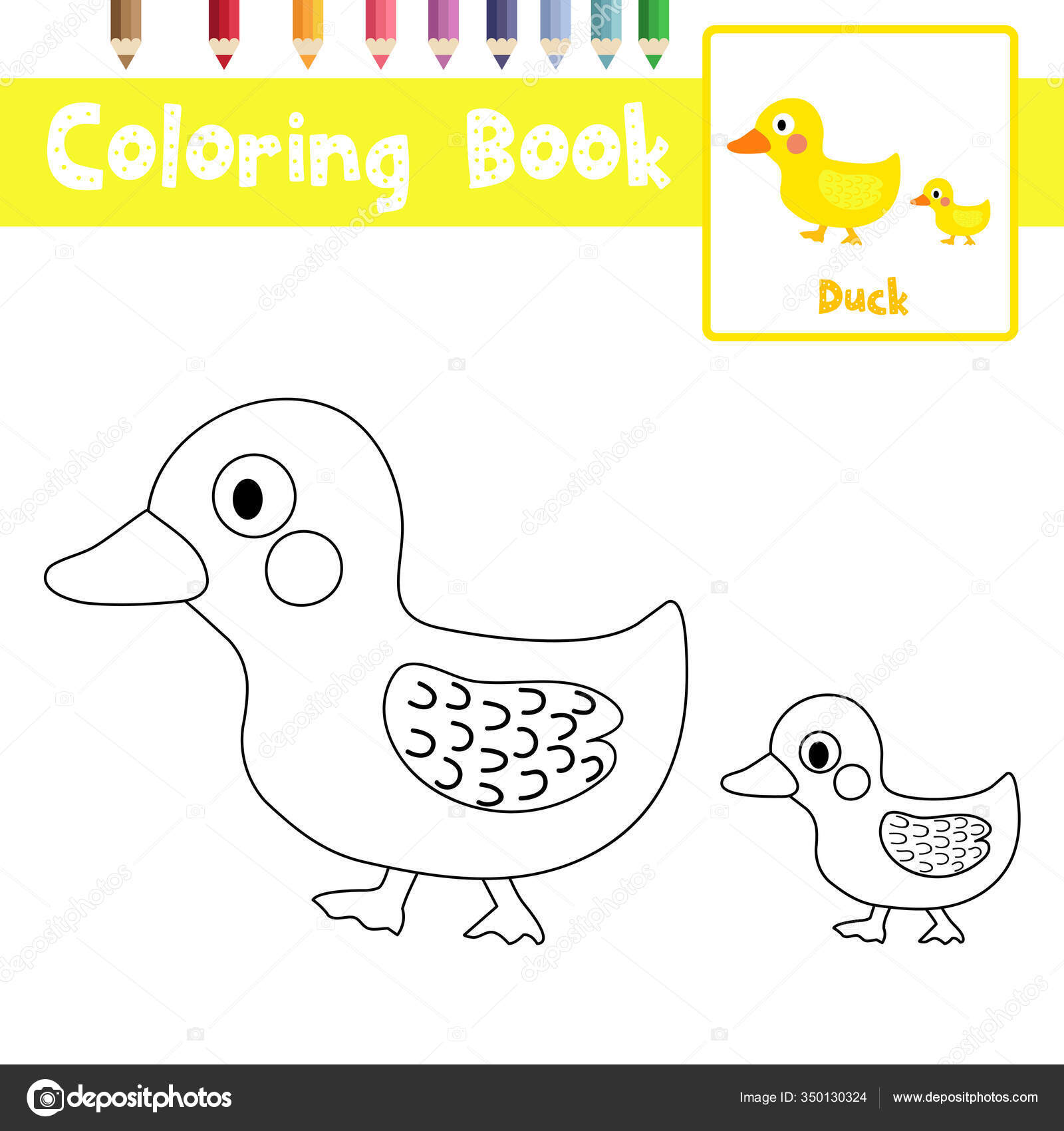 Juego educativo para colorear vector de aves pato libro ...