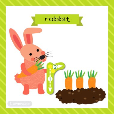 R harfi küçük çocuklar için renkli hayvanat bahçesi ve ABC alfabesindeki hayvanlar için Pembe Tavşan 'ın İngilizce kelime dağarcığı ve el yazısı vektör ilüstrasyonunu öğrenen çocuklar için havuç tutarken kullandığı fiş..