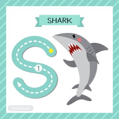 S harfi büyük çocuklar için renkli hayvanat bahçesi ve hayvanlar için Abc alfabesi. Angry Shark 'ın İngilizce kelime dağarcığı ve el yazısı çizimi öğrenen çocuklar için kart..