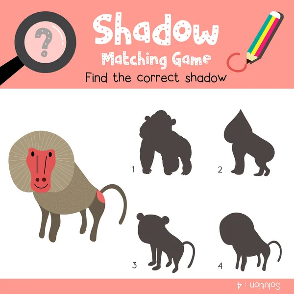 Shadow Matching Spiel Der Paviane Tiere Für Vorschulkinder Aktivität Arbeitsblatt — Stockvektor