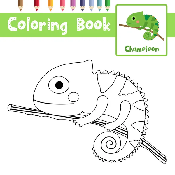 Kleurplaat Van Chameleon Tak Dieren Voor Kleuters Activiteit Educatief Werkblad — Stockvector