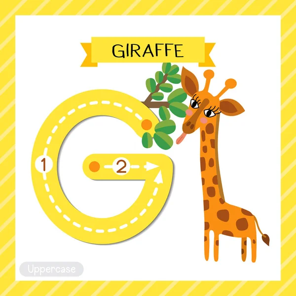 Letter Uppercase Cute Children Colorful Zoo Animals Abc Alphabet Tracing — Stock Vector