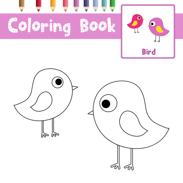 Página Color Los Animales Aves Permanentes Para Niños Edad Preescolar — Vector de stock