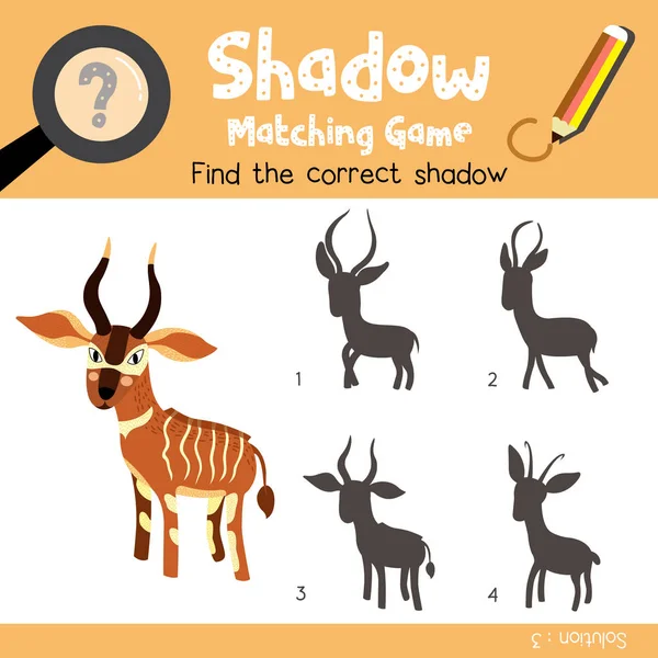 Bongo动物的影子匹配游戏 为学龄前儿童活动工作表彩色版本 病媒图解 — 图库矢量图片