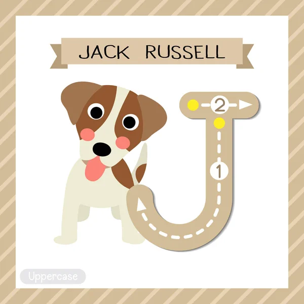 Lettre Mêmes Enfants Zoo Animaux Colorés Carte Alphabet Jack Russell — Image vectorielle