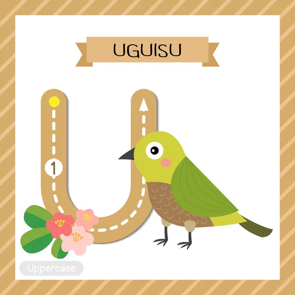 Uguisu Kuşunun Ngilizce Kelime Dağarcığı Yazısı Illüstrasyonunu Öğrenen Çocuklar Için — Stok Vektör