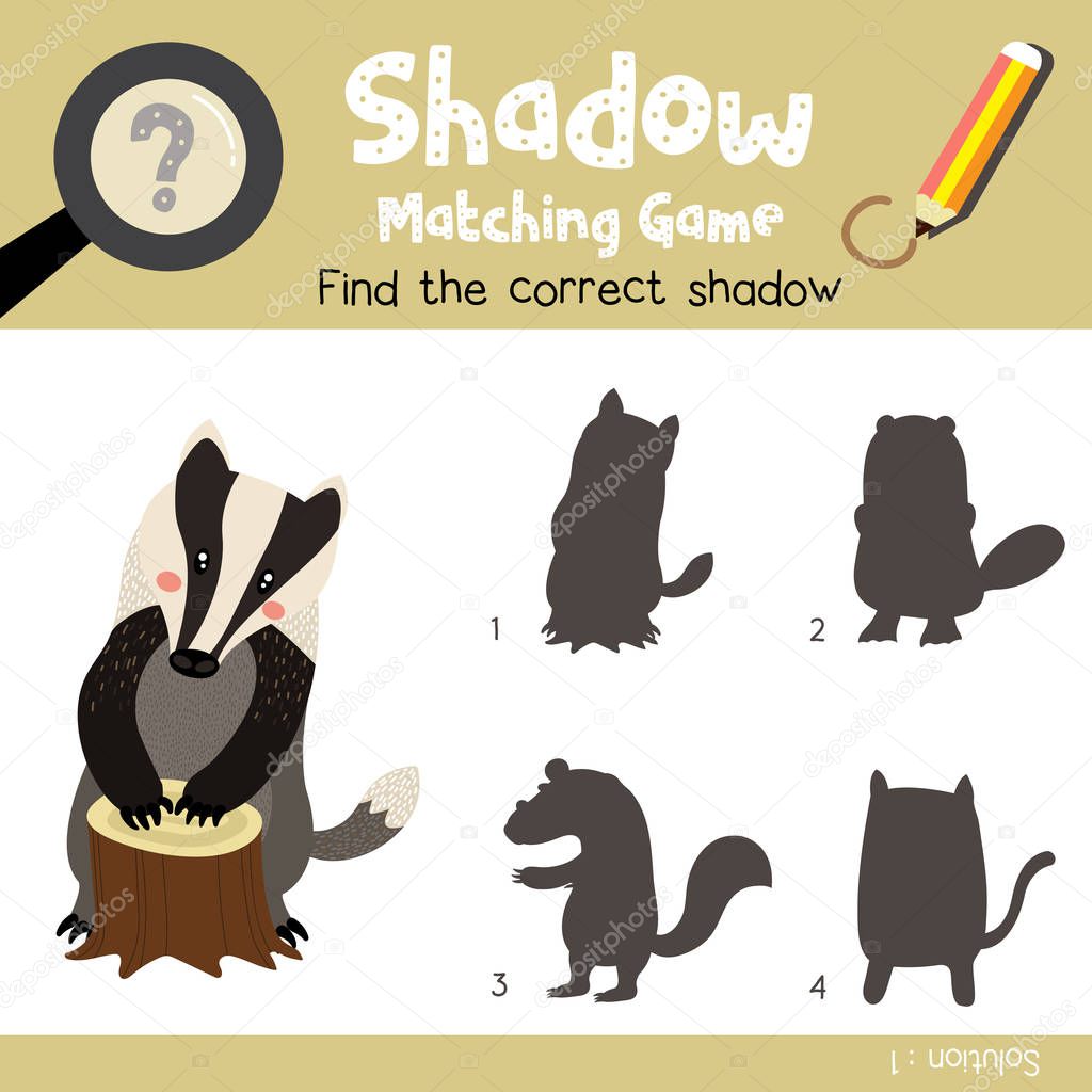 Shadow matching game of Badger animals for preschool kids activity worksheet colorful version. Vector Illustration.