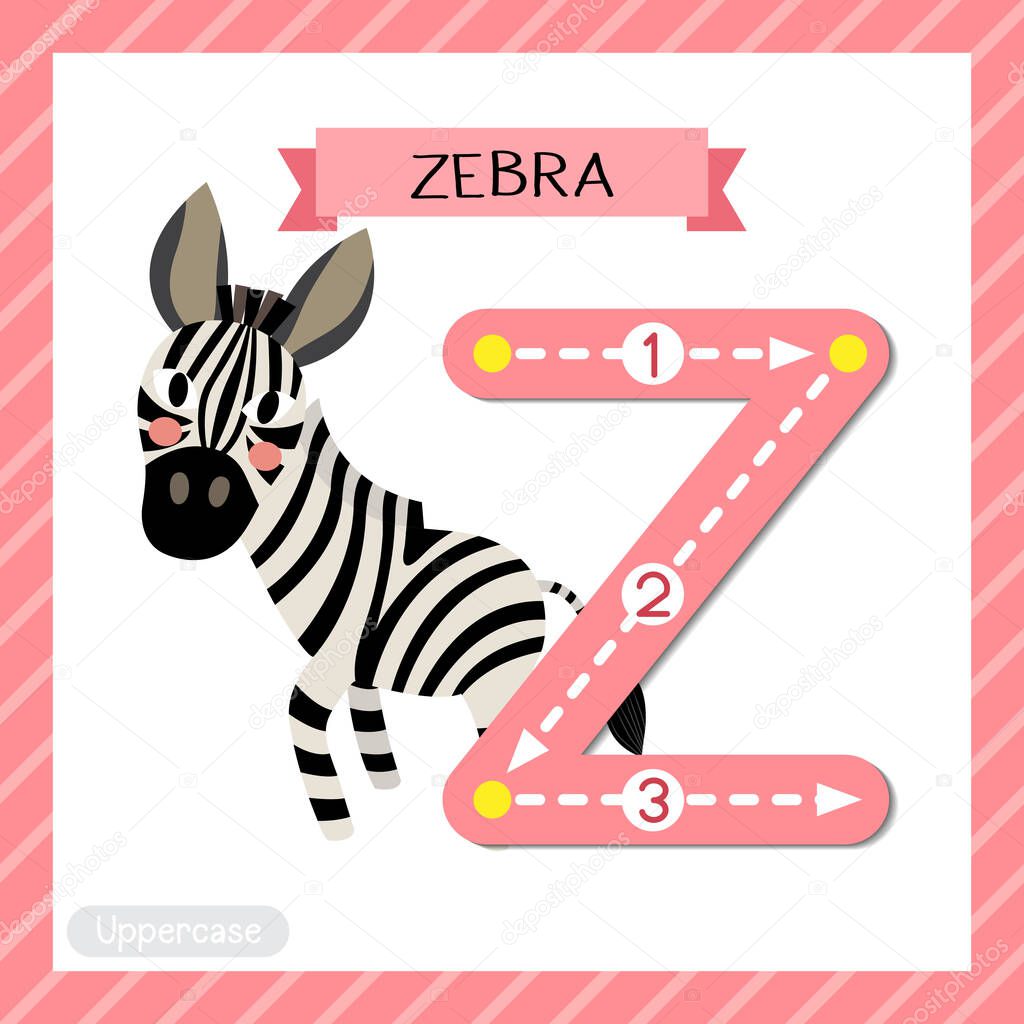 Letter Z Uppercase Cute Children Colorful Zoo And Animals Abc Alphabet Tracing Flashcard Of Zebra For Kids Learning English Vocabulary And Handwriting Vector Illustration Premium Vector In Adobe Illustrator Ai