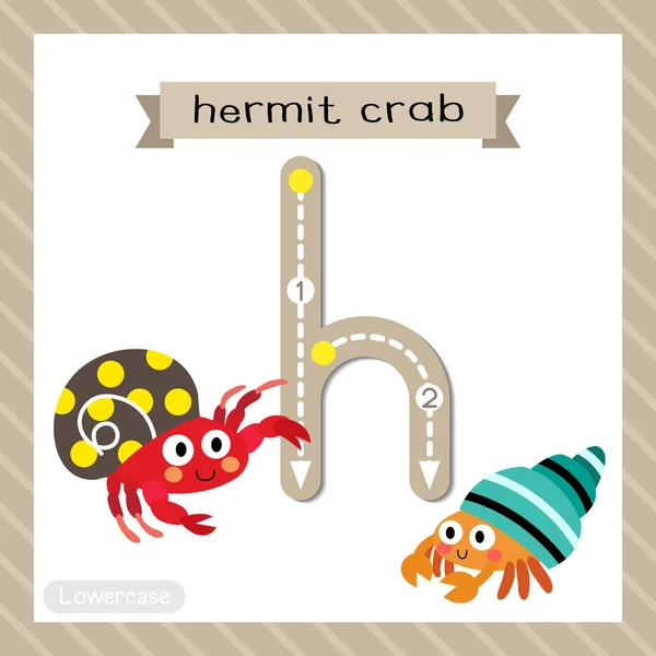 소문자귀여운 어린이 동물원 Abc 알파벳따라가기 Colorful Hermit Crab 플래시 어휘와 — 스톡 벡터