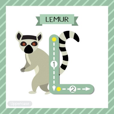 L harfi büyük çocuklar renkli hayvanat bahçesi ve ABC alfabesindeki hayvanlar İngilizce kelime dağarcığı ve el yazısı çizimi öğrenen çocuklar için Standing Lemur 'un kartının izini sürüyorlar..