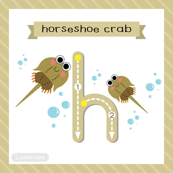 소문자귀여운 어린이 동물원 Abc 알파벳따라가기 Horseshoe Crab 플래시 어휘와 삽화를 — 스톡 벡터