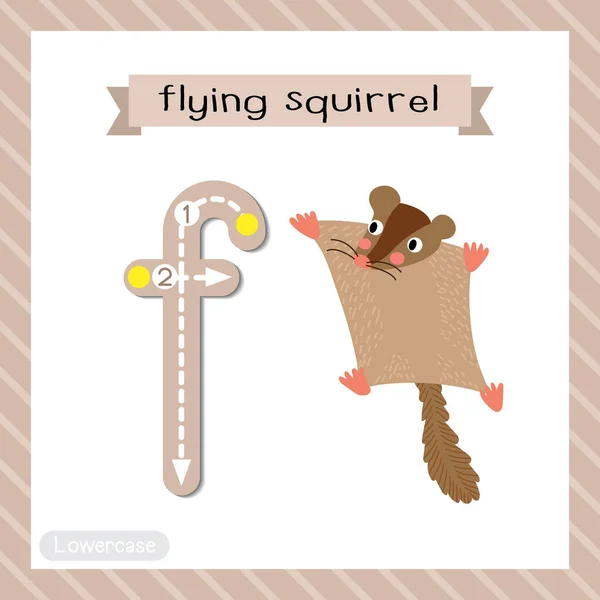 Letter F lowercase cute children colorful zoo and animals ABC alphabet tracing flashcard of Flying Squirrel for kids learning English vocabulary and handwriting vector illustration.