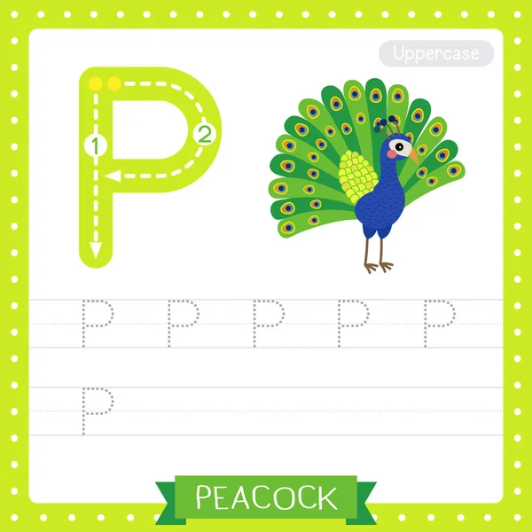 Letter Uppercase Cute Children Colorful Zoo Animals Abc Alphabet Tracing — стоковый вектор