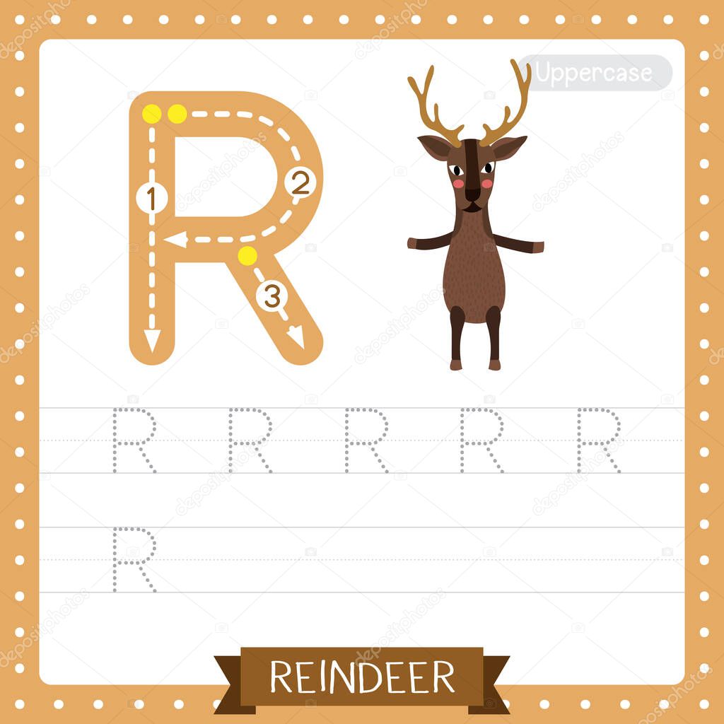 Letter R uppercase cute children colorful zoo and animals ABC alphabet tracing practice worksheet of Reindeer standing on two legs for kids learning English vocabulary and handwriting vector illustration.