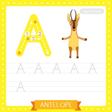 Letter A uppercase cute children colorful zoo and animals ABC alphabet tracing practice worksheet of Antelope for kids learning English vocabulary and handwriting vector illustration. clipart