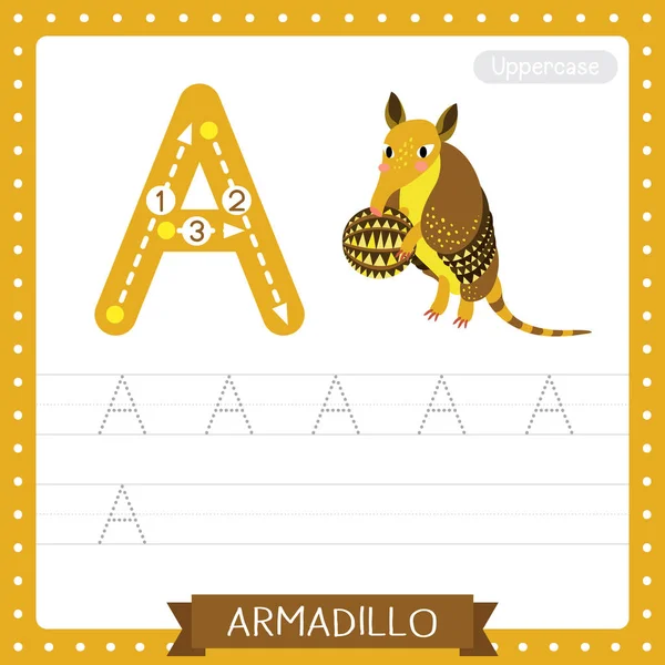 단어와 삽화를 배우는 아이들을 글자로 아름다운 동물원 Abc 알파벳 연습용 — 스톡 벡터