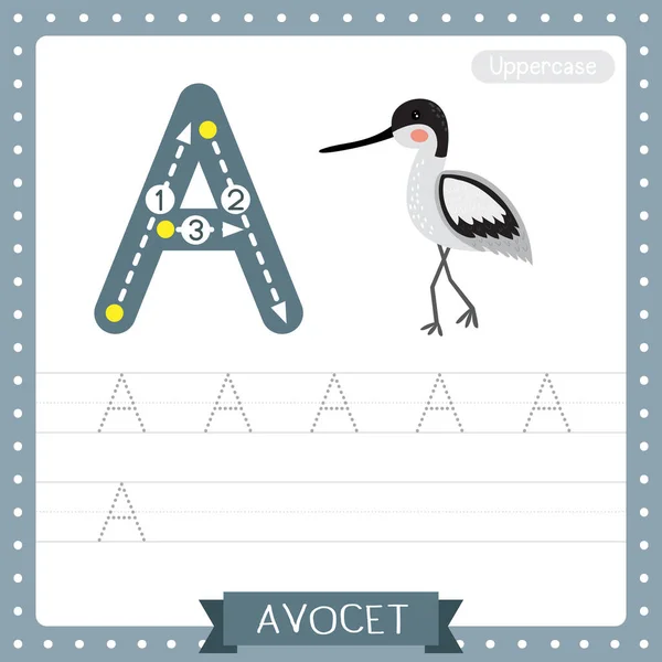 Letter Uppercase Cute Children Colorful Zoo Animals Abc Alphabet Tracing — стоковый вектор