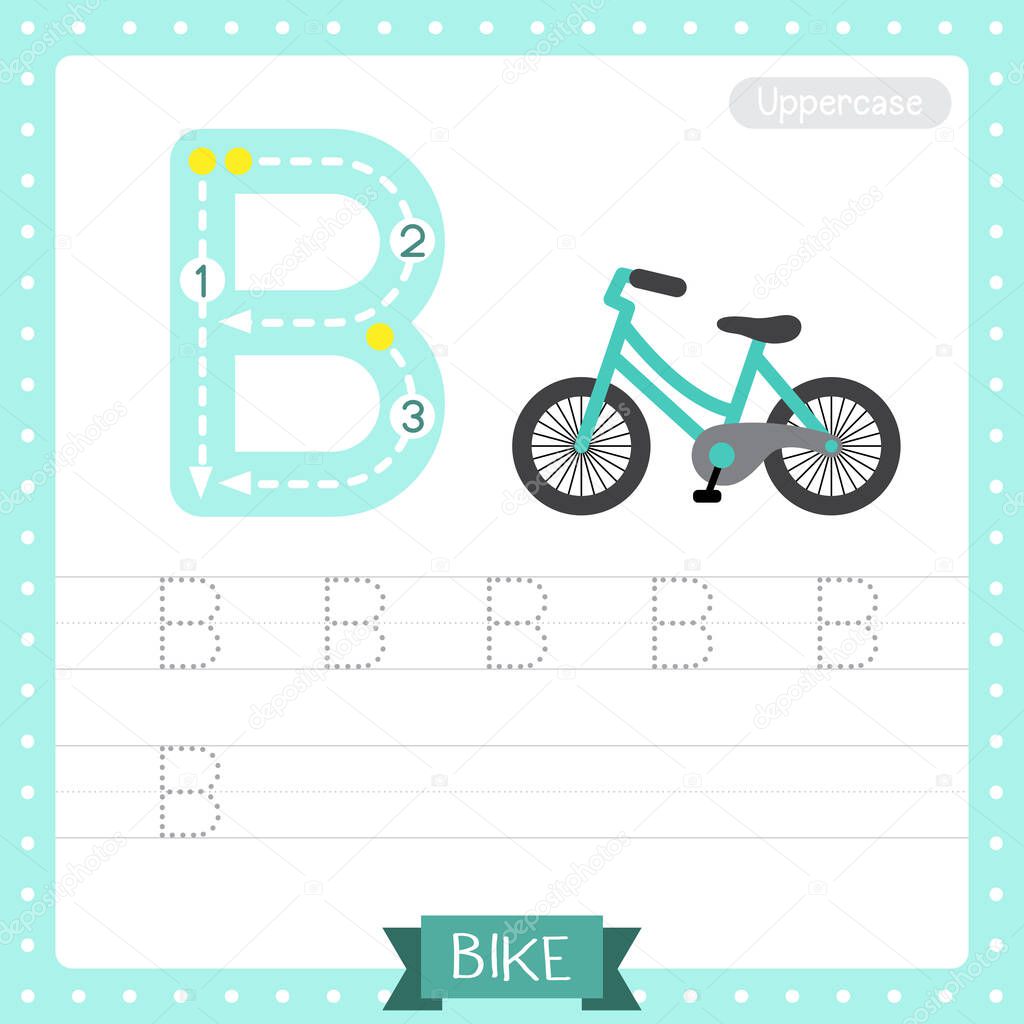 Letter B uppercase cute children colorful transportations ABC alphabet tracing practice worksheet of Bike for kids learning English vocabulary and handwriting Vector Illustration.