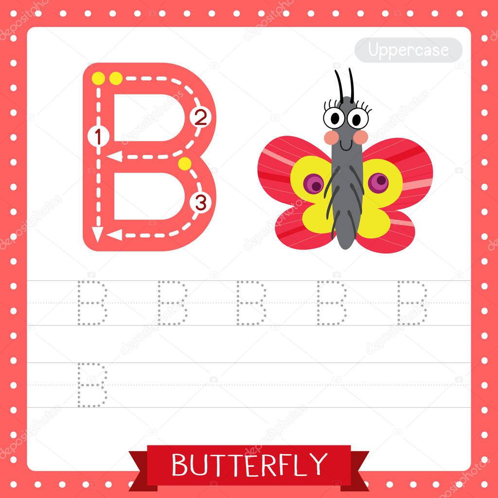 Letter B uppercase cute children colorful zoo and animals ABC alphabet tracing practice worksheet of Butterfly for kids learning English vocabulary and handwriting vector illustration.
