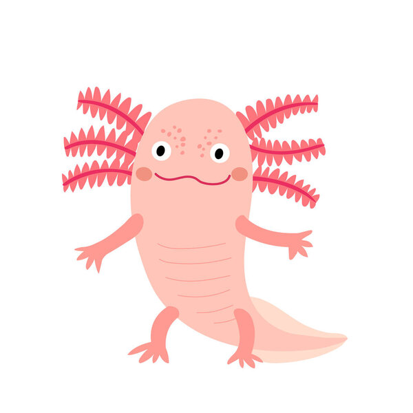 Standing axolotl cartoon character. Mexican salamander or walking fish with pink color. Isolated on white background. Vector illustration.