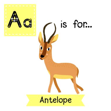 A letter tracing. Antelope. Cute children zoo alphabet. Funny cartoon animal. Kids abc education. Learning English vocabulary. Vector illustration. clipart