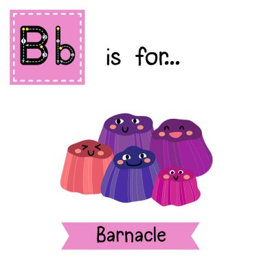 B letter tracing. Happy smiling Barnacles. Cute children zoo alphabet flash card. Funny cartoon animal. Kids abc education. Learning English vocabulary. Vector illustration. clipart